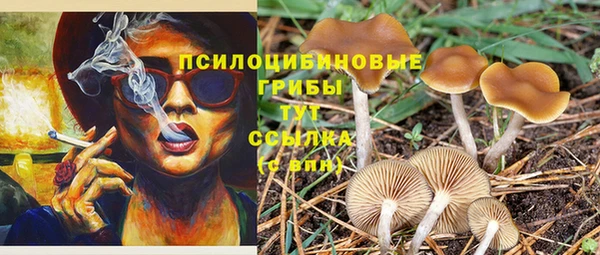 MDMA Premium VHQ Бородино